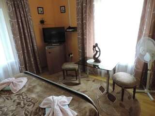Мини-отель Grand Орша Двухместный номер Делюкс с 1 кроватью и душем-1